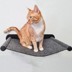 Canadian Cat Company Filz-Hängematte Für Die Wand -Angebote Pet Freude Store 05bff4a9f82ca17aac31ad0d578a843a03e969a6 1360996 de DE 2f7dba7fff7fd30e8ac28d61faf3072ba982a2de23tQBO
