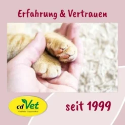 FeliTATZ Bio-HaarballenÖl 50 Ml -Angebote Pet Freude Store 0ac1c79bafdd6a58702b7bdac9e288a71606790e 1343782 de DE bfdb4b813f4d094cdfef4c88f0fa4e20008c32c8sIF1Oh