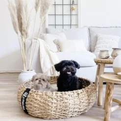 District 70 COCOON Natural M 10 District 70 COCOON Natural M -Angebote Pet Freude Store 1db584284c497361442002ba80ca8dd9597a35b9 1ad367312153dfaf420d5600b6e8e9dac5cec798