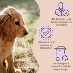 FAVLY Petfood PURE Bites Hirsch 360 G -Angebote Pet Freude Store 236dbc85f5fb75ec5fb4367bde1445e3087ffdcd 1474003 de DE 80624b888460a5c29f043365a19496292e44fd84TlIvR8