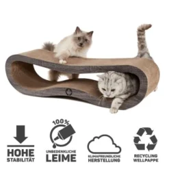 Canadian Cat Company Kratzbrett Orbit 2.0 Dunkelgrau -Angebote Pet Freude Store 2d5047553575aa44a76427933901e71eb7a32b9d 1191171 de DE f96448ffa6677571b69437b0ff181630ced82af8OExiMS