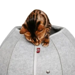 Canadian Cat Company Katzenhöhle In Kugelform S -Angebote Pet Freude Store 2ecb868df2d3b2cf90a9092caebd3c19caa20008 1347679 de DE 9620a1f8944edc55aec2b992d490644e015c022abD41s1