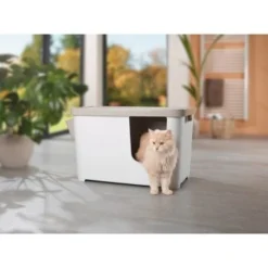 MORE FOR Katzentoilette XXL Titan -Angebote Pet Freude Store 331a65ecbdbda6a54304894f23caf93293414f9a 41a7dcb3b92b8da7531785b268f381c1b25bbf04