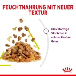 ROYAL CANIN SENSORY Smell In Gelee Für Wählerische Katzen 12x85g -Angebote Pet Freude Store 3469e2789c9f64bff26f87bbac39ba0a4ed440ea 45f33cf5dbb691236fc67f7b11a07842abb35bb4