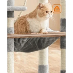 FEANDREA Kratzbaum 143cm Rauchgrau Hellgrau -Angebote Pet Freude Store 37be2f2514570ac16abd583e226c37e3942fb95e 1483593 de DE a6645c1e24d592fa2f7e2898455d81c2be2800bf3QlXOx