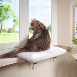 AniOne Fensterliegeplatz -Angebote Pet Freude Store 3ed1f86bcd38eea7f6bb469869d0ceabbf14e73e 08d7fb7b3ea8513f40155b969787349e3e9059aa