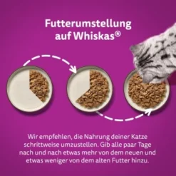 Whiskas Tasty Mix Multipack Chef's Choice In Sauce 40 X 85g -Angebote Pet Freude Store 409f4c41204a67499d9e04ea40f469165fcf23ac 1410720 de DE Whiskas 4