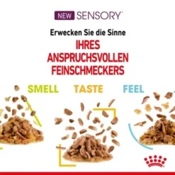 ROYAL CANIN SENSORY Taste In Soße Für Wählerische Katzen 12x85g -Angebote Pet Freude Store 4ca972876606d003a86f0bab1190858f1914a006 03707c15903f7b5fc3717a18a53f4c58a8a0d108