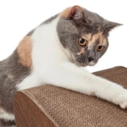 Canadian Cat Company Kratzbrett Satellite 2.0 Braun -Angebote Pet Freude Store 51d726ab18583b5b75703fa2588fac66b1e75dc3 1310301 de DE 26e3a5a4fc0c6541cbfd55bcdee423c53adff143SYgLld