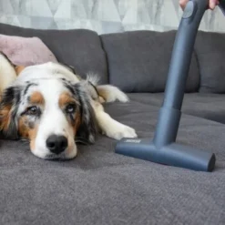 THOMAS Perfect Air Animal Pure -Angebote Pet Freude Store 603137fb8b3080096fe34bb0ce0b35713a0081ec 1406731 de DE 61ffd08a4c243aaa506c87a5b11107f7ffeaf308tEO6cw