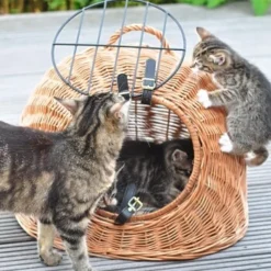 Aumüller Rattanhöhle Gesottene Weide -Angebote Pet Freude Store 644da56b8da52f185185b101fb3460690748ee17 ed38553d0e52453b951e62f08b371eb8a64cf3ed