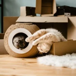 District 70 Kratzmöbel ORB -Angebote Pet Freude Store 6560d6445e5f805cae3a1d1e8107ae0366b9b4a6 81457cdf11eed55f55edd03c92dee35d68931e4f