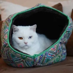 Canadian Cat Company Katzentunnel COSMO M -Angebote Pet Freude Store 67f448259cbca2b76f0f056d6321e3f462cbbfb2 1412665 de DE 5bb2b25340ddb934c05b11da4b3410ce26fcf1f8fEc8B6