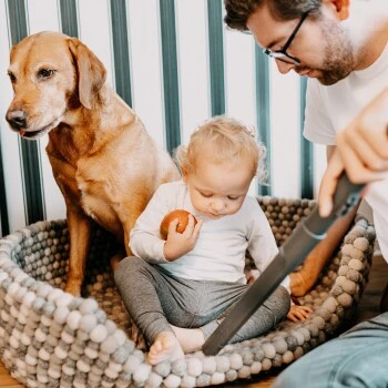 THOMAS AQUA+ Pet & Family Parquet Pro 3 THOMAS AQUA+ Pet & Family Parquet Pro – Bild 3