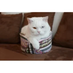 Canadian Cat Company Katzenschiff MAJA 9 Canadian Cat Company Katzenschiff MAJA -Angebote Pet Freude Store 766deb875332e5f5e0863d1a2d85001bb4ef9b90 1412668 de DE bd0dc038d80f4f0d2f7a8d881a21a125e897f0d3Dfo1wn