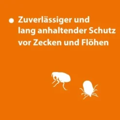 Ardap Spot-On Für Katzen S -Angebote Pet Freude Store 78ef3007d4b9c3eb8d62bd9c80f14e6d1dd5144b 1150895 de DE 123c08947d68d259b6ba6ec3ce1852e52370e4d7UNfXiR