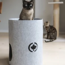 Canadian Cat Company Filzbett Owen-Tower -Angebote Pet Freude Store 7de15b7ab3d0a3da50a54b91f1a6b746b12be302 1394209 de DE 768a45a9be27cfd0fb27e1bf0942b4e67e500c7ee16ity