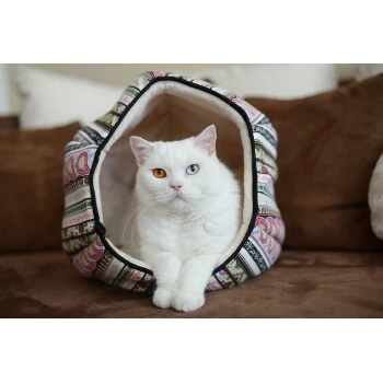 Canadian Cat Company Katzentunnel LUNA M 2 Canadian Cat Company Katzentunnel LUNA M – Bild 2