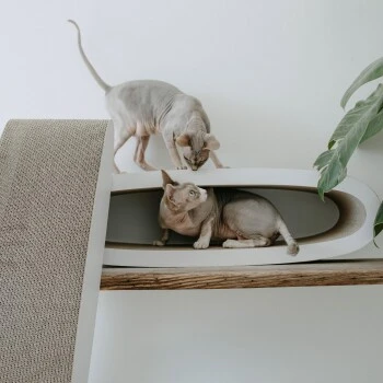 District 70 OVAL OFFICE 3 District 70 OVAL OFFICE – Bild 3