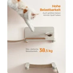 FEANDREA Clickat Katzen-Futterstation Erhöht -Angebote Pet Freude Store 872e60080947c3bbed4a42474423d98dea511312 1681429 de DE eb52cddfe415e1f7867b75805347ff5b8a8fc97bQOHhYK