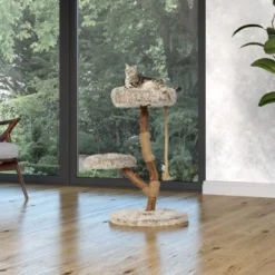 Neue Veröffentlichungen -Angebote Pet Freude Store 87f0327374e5809e6ea9f0a09dbc2d6a0f7e7402 1407289 Milieu MF K