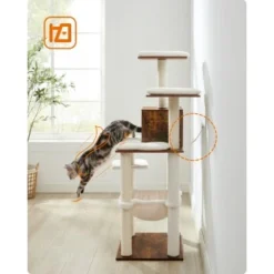 FEANDREA Katzenmöbel 138cm Modern -Angebote Pet Freude Store 8c2937a91841e269fd86007d3e1ceb87f2caf805 1483576 de DE cfd51096659787d7d5b5a912ebaa292dbfb3b9f37NRBqW