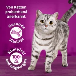 Whiskas Tasty Mix Multipack Chef's Choice In Sauce 40 X 85g -Angebote Pet Freude Store 90c69f8b60998b1e42a320aa3c632d7b173d2464 1410720 de DE Whiskas 7