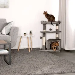 Lionto Kratzbaum, Höhe 75 Cm Dunkelgrau -Angebote Pet Freude Store 93538dd92015274a424fbe418a728d711bf35ee4 1657050 de DE cdf2aedfa5f00533ccf45fdd95fec703142abcfaEAr6hi