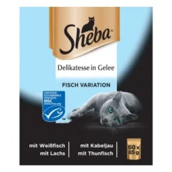 Sheba Delikatesse In Gelee 60x85g -Angebote Pet Freude Store 93890757777d5de401544484eacc17bb6f2d684a dcc11d1531a82c8bd2bb3c0262ea3fc504426e44