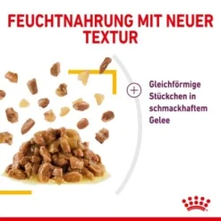 ROYAL CANIN SENSORY Taste In Gelee Für Wählerische Katzen 12x85g -Angebote Pet Freude Store a0a9a743b6a6722f849df958bc9024e93eba856b e74a0546ac96b90fff45a5cac73c2ea520ddf555