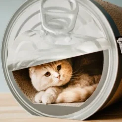 District 70 CAN Cardboard -Angebote Pet Freude Store a4cd0fa7850dfd13b737775762ce59afa0fa6bcc dc81845d134bfb19e2eca4e5bc9344d6856acd6a