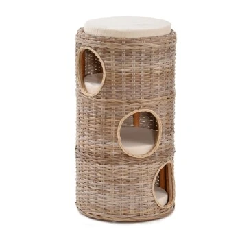 Rohrschneider Katzenturm Ricki 1 Rohrschneider Katzenturm Ricki