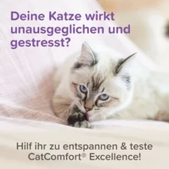 Beaphar CatComfort Excellence Nachfüll-Flakon Für Verdampfer -Angebote Pet Freude Store a8613b584df98a596d32ec535fff51094d4ea86c 1416647 1 3
