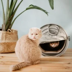 District 70 CAN Cardboard -Angebote Pet Freude Store b74e7b3e816e0644dc79f2602e8fd6b2e0c86d73 287b4bbd5048dc2cbb169bff1f18c2c75fd90f94