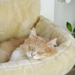 Schlitzohr Heizungsliege Lucky Beige -Angebote Pet Freude Store bdc02033928d033279e49ebefe91371e629dfd2f 1484673 de DE 4daf09016934a9074c92f48c173e840fa6385a4agwWEjb