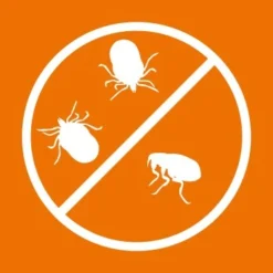 Ardap Spot-On Für Katzen S -Angebote Pet Freude Store c00afedd838d70c54a5287206443466647f5dedf 1150895 de DE 216402434a597a152b5e3e2d02d3c041c3a61282I3NWL5