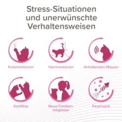 Beaphar CatComfort Excellence Starter-Kit 48ml -Angebote Pet Freude Store c5acac2221a0b2cf3e7346d9f61b6606812afde8 1416646 1 1