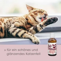 FeliTATZ FellGlanz -Angebote Pet Freude Store c632389ff5554b3f77a4c07b5dcd4d35f428a2c1 1666313 de DE aef5012fb4dd575d53ef4492b6faf7c4f11752ddfl85CX