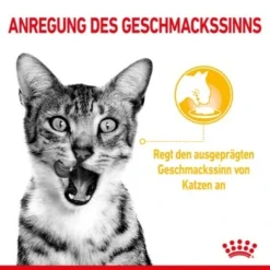 ROYAL CANIN SENSORY Taste In Soße Für Wählerische Katzen 12x85g -Angebote Pet Freude Store c751e3e6549d8121352adbb96ff4d6211cb9969c 5358985e70471d76b714fd086a825163a25b9201