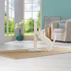 AniOne Kratzsäule Pepe&Kitty -Angebote Pet Freude Store d5701c6c4622e5291ba55a46423a44f2481c56c2 484c1f099650b6711f02ae3db97410a6f9af5da0