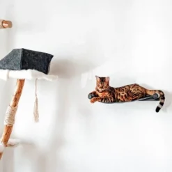 Canadian Cat Company Filz-Hängematte Für Die Wand -Angebote Pet Freude Store d6982ed9d12e9d0cbfd4107464642cbf75290f16 1360996 de DE d8ac4e7927d3348063cd4288852ccba5cd28bc01nV0N95