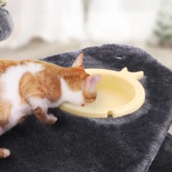 FEANDREA Mit Fressnapf Hellgrau Dunkelgrau -Angebote Pet Freude Store e0612f58e6cb8d822363112fdb47bb295de5e04a 1483606 de DE e41e735793de6f9347f2d50bd4d135ecb01beb8bnoaNEc