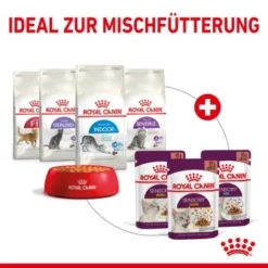 ROYAL CANIN SENSORY Taste In Soße Für Wählerische Katzen 12x85g -Angebote Pet Freude Store e338f1b738e71508a649c05340bf628bcfb35778 4d355f831b542f8ae284d999b5f903f6ee374b56
