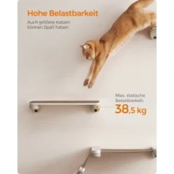 FEANDREA 3st. Clickat Katzenbrett Für Die Wand -Angebote Pet Freude Store eff0845c1d39f1df06ac9b2fea5543f13b924fe7 1681458 de DE 49f3284dc1e7752ec473d61a07cc5870214b52015wNOhn