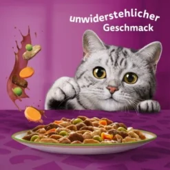Whiskas Tasty Mix Multipack Chef's Choice In Sauce 40 X 85g -Angebote Pet Freude Store f6e2ae102927feafb9e342708a0412557690953c 1410720 de DE Whiskas 6
