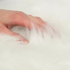 Canadian Cat Company Filzlounge AVA Beige M 15 Canadian Cat Company Filzlounge AVA Beige M -Angebote Pet Freude Store fd8b746ad0dc996bb62efc39f6c670f6be8df30e 1360999 de DE c86a4e6d9ceba2c1e55f3f753eeda095c89215723XoDPL