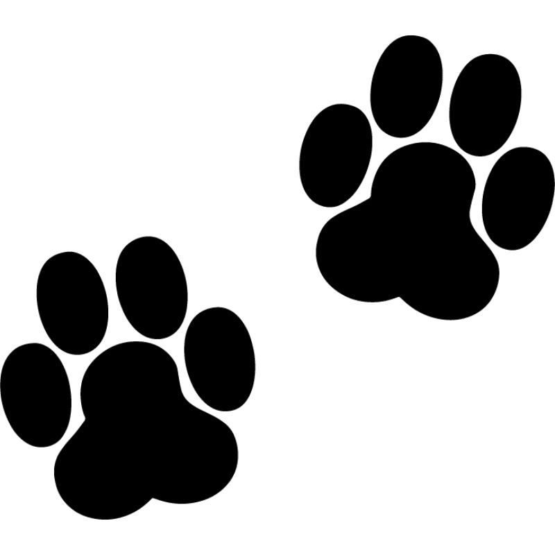 Angebote Pet Freude Store